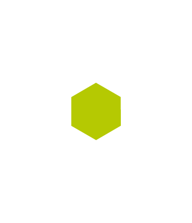 OWASP Nest